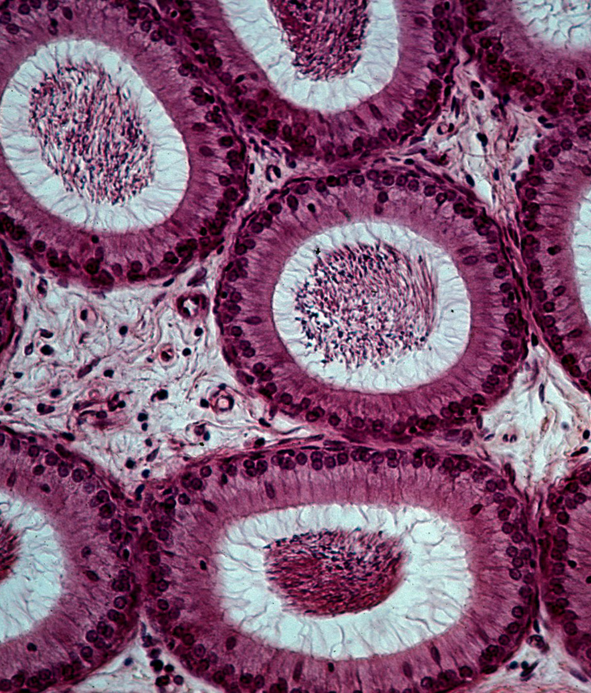 Unlocking Nature S Code